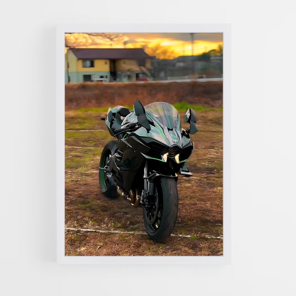 Poster incroyable Ninja h sx (vue 3)